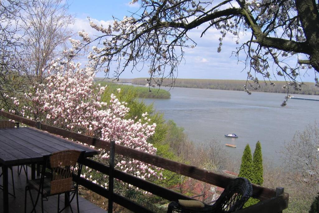 Villa Kornelija Stari Slankamen Buitenkant foto