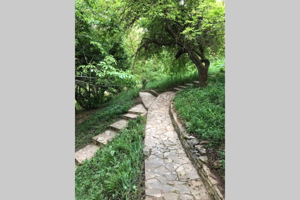 Villa Kornelija Stari Slankamen Buitenkant foto