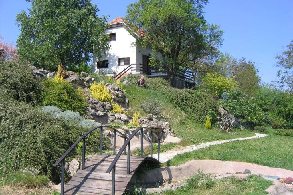 Villa Kornelija Stari Slankamen Buitenkant foto