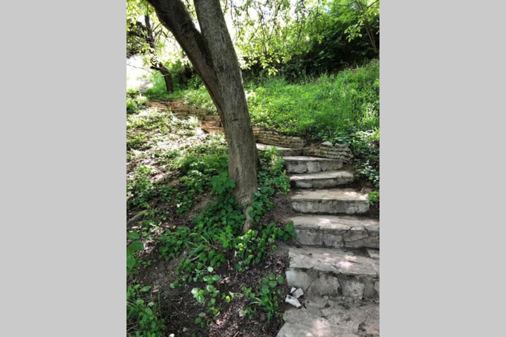 Villa Kornelija Stari Slankamen Buitenkant foto