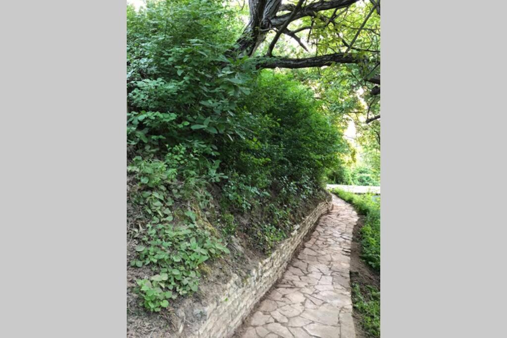 Villa Kornelija Stari Slankamen Buitenkant foto