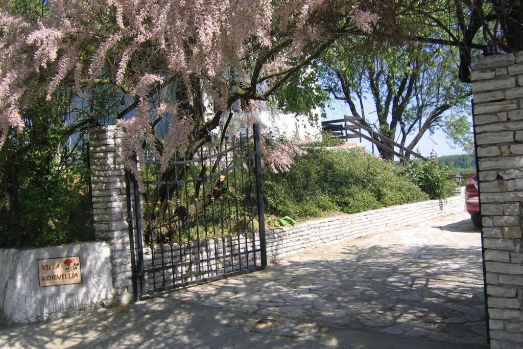 Villa Kornelija Stari Slankamen Buitenkant foto