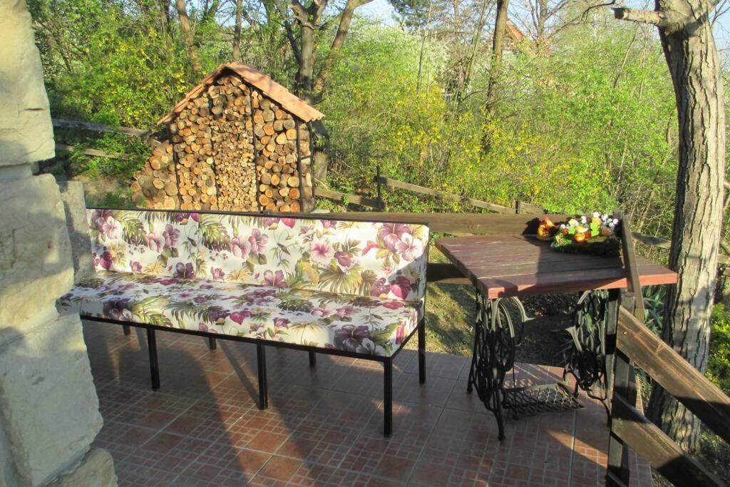 Villa Kornelija Stari Slankamen Buitenkant foto